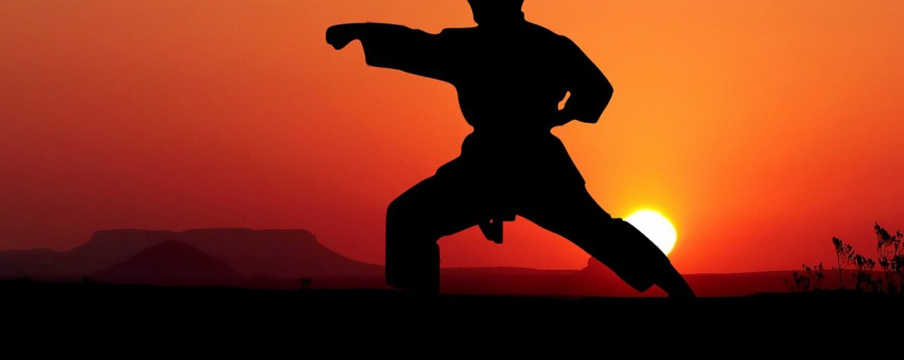 What's Best for Your Kid: Karate or a Jiu-jitsu class?