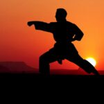 What's Best for Your Kid: Karate or a Jiu-jitsu class?